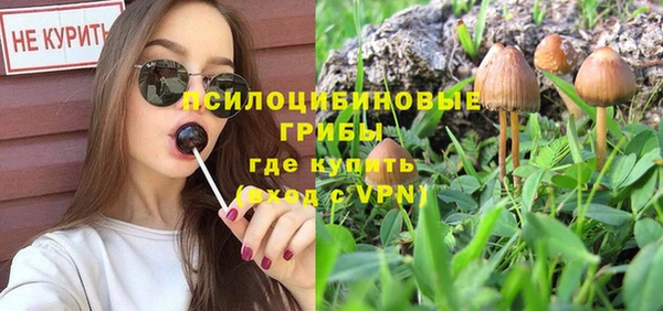 бутират Алексин