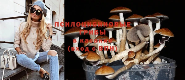 бутират Карабаново