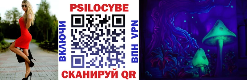 Псилоцибиновые грибы Psilocybe Луза